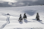 Festung LUSERN: Geführte Schneeschuh-Wanderung mit Führer Plateau-5 Januar 2017