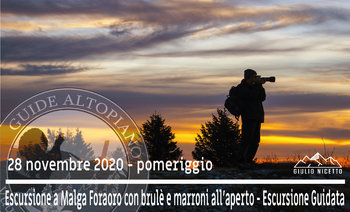 Malga foraoro guide altopiano Malga foraoro guide altopiano