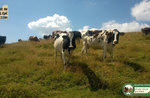 ANDAR PER eintauchen: Val Maron Ausflug mit GUIDE Plateau bis zum 27. AUGUST 2016