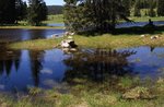 CIMBRI and SOURCES the MARCESINA PLATEAU Hike with GUIDE July 2, 2017