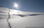 Schneeschuhwandern in der MARIO mit 14. Januar 2018, GUIDES