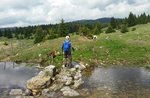 The border markers and the guard rail 22 July 2018 PLATEAU D