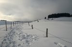 SNOWSHOEING in the MARIO with GUIDES plateau, 6 January 2018