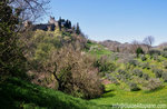 COLLINE MAROSTICA: Laub dessius mit GUIDE ALTOPIANO,10. November 2019