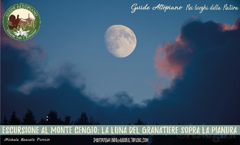 MOnte Cengio - Guide Altopiano