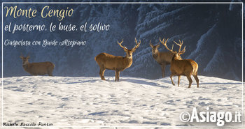 Monte_Cengio_Inverno_Guide_Altopiano_Asiago Monte_Cengio_Inverno_Guide_Altopiano_Asiago