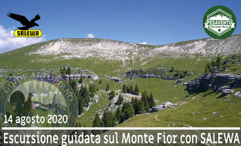 Monte Fior - Guide Altopiano