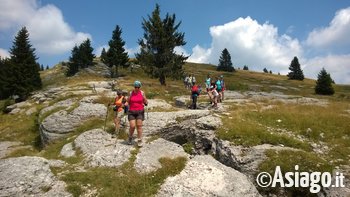 Monte Fior Monte Fior