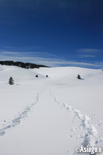Monte Zebio_Inverno Monte Zebio_Inverno