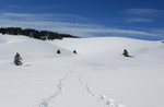 EXCURSION MONTE ZEBIO: a year on the upland PLATEAU, 17 February 2018 GUIDES