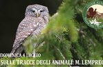 ON THE TRAIL OF ANIMALS, MONTE LEMPRECHE - Sunday, July 4, 2021