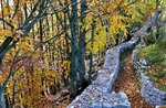 MONTE NOVEGNO, the story out with guides plateau, 27 October 2018