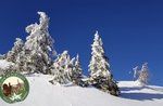 LA PIANA DI MARCESINA D’INVERNO, orme Mario Rigoni Stern, domenica 5 dicembre 21