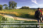 A DAY IN NATURA : the deer of the Prunno, 12 July 2020