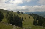 SENTIERO PUCHE : la via degli alberi Monumentali, escursione guidata 26 agosto