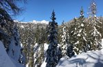 ESCURSIONE CON SCI DI FONDO, loc. CAMPOMULO - Benessere a 360°, 25/01/20