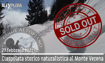 sold out sold out