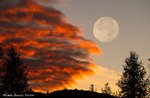 VALLE DEI MULINI:Escursione Naturalistica GUIDE ALTOPIANO-6 agosto 2016-SERALE