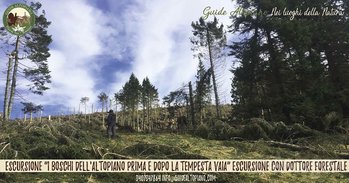 TempestaVaia-GuideAltopiano TempestaVaia-GuideAltopiano