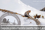 tracceAnimali_guidealtopiano tracceAnimali_guidealtopiano