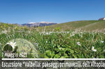 CIMA VALBELLA: spring landscapes of the Plateau, 7 May 2021