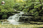 VALLEY OF GALLIO MULINS, the mill and water of the Covola, 11 July 2019