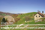 MALGHE VALLERANA and Campolongo trenches, guided hike, July 11, 2020