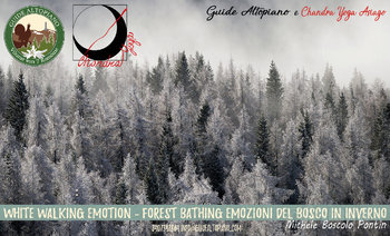 WhiteWalkingEmotion-ForestBathing - Guide Altopiano