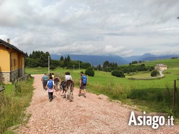 Foto kaberlaba Foto kaberlaba