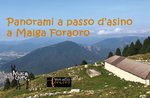 Malga Foraoro. Panorami a passo d'asino il 31 luglio 2021 con Asini in Cammino!