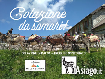 Malga serona colazione da somari 01