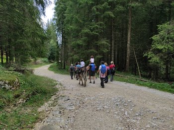 Escursione Monte Lemerle