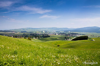 Escursione guidata ad Asiago