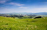 Guided excursion to the places of Mario Rigoni Stern in Valgiardini in Asiago - 31 July 2021