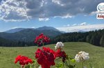 Alpe Cimbra: Die Straße der Festungen - Samstag, 7. August 2021