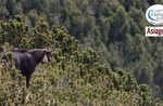 Emozioni in natura tra le mughete – Mina della botte - Sabato 14 Agosto 2021