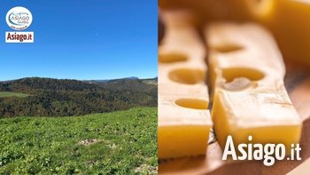 15 08 2021 malga asiagoguide 15 08 2021 malga asiagoguide