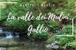 1° Maggio to Mill Valley: excursion with snack