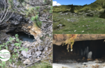 Emozioni in natura: Grotta del Lago e Campi  - Martedì 11 Agosto 2020 ore 9.30