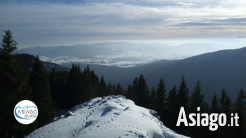 2020 12 31 asiagoguide 2020 12 31 asiagoguide