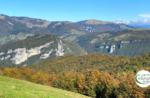 Emotions in Nature between Col dei Remi and Col D'Astiago - Sun 29 November 2020 