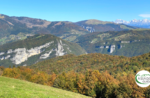 Emozioni in Natura tra Col dei Remi e Col D'Astiago - Dom 29 Novembre 2020 