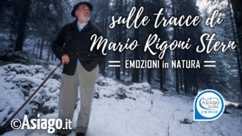 22 12 19 asiagoguide 22 12 19 asiagoguide