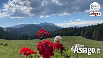 31 07 2021 asiagoguide 31 07 2021 asiagoguide