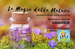 La magia della Natura- Domenica 16 Giugno 2019