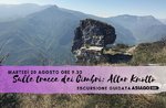 Altark Altark