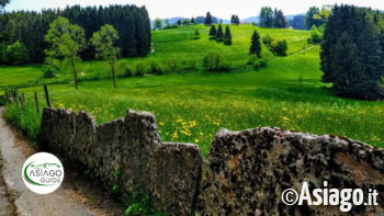 Asiago guide 13 06 20