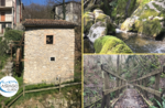 Emotions in Nature: The Valley of the Mills with Asiago Guide - Sun 7 June 2020