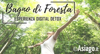 Bagno di foresta Bagno di foresta