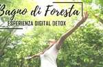 Forest bath-digital detox experience